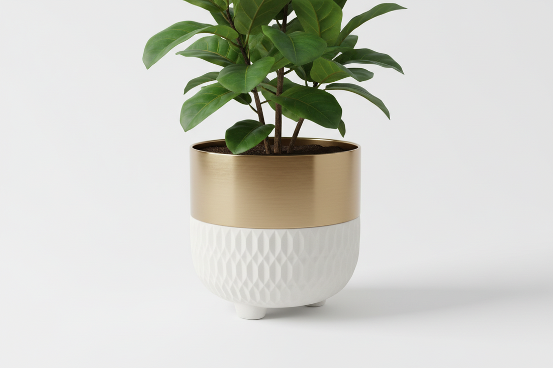 Comment choisir la taille d'un cache-pot ? Le guide complet