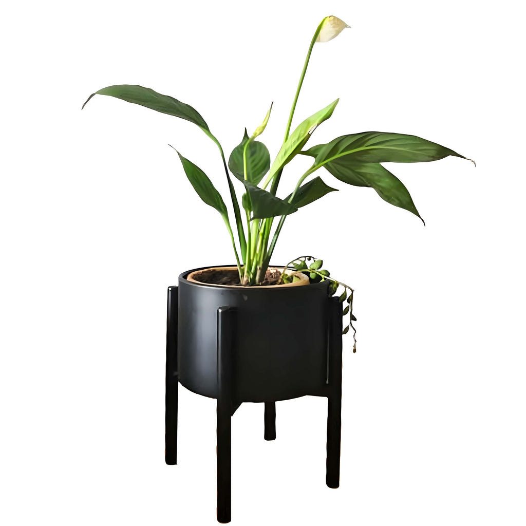 Ma boutique 3 petits cache pot sur pied noir