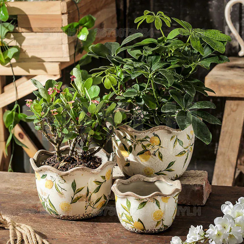 Ma boutique Cache pot avec motif en céramique