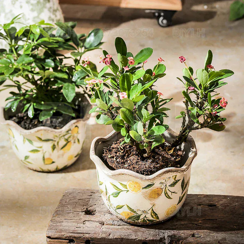 Ma boutique Cache pot avec motif en céramique