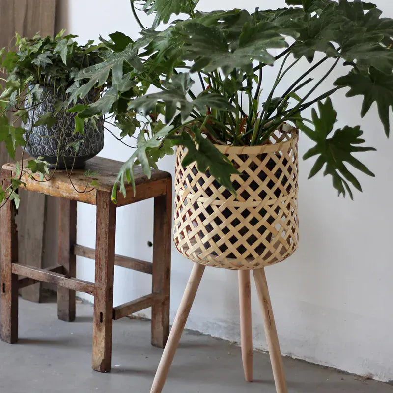 Ma boutique cache-pot bambou sur pied