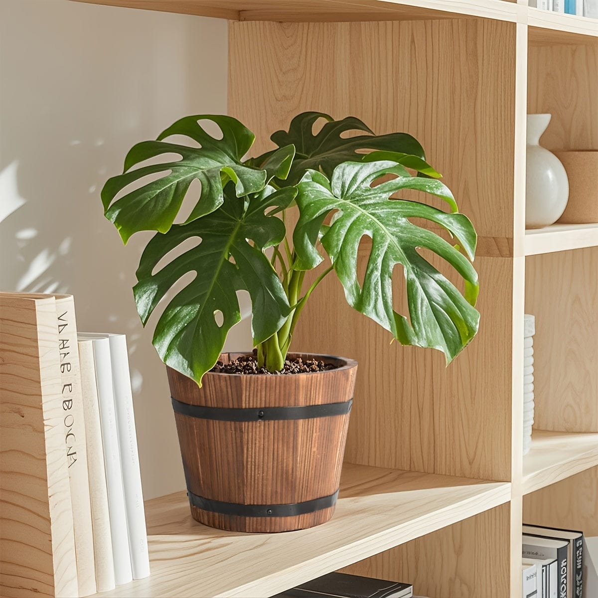 Ma boutique 5 cache-pot bois extérieur