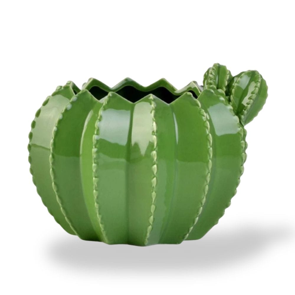 Ma boutique Cache-pot cactus