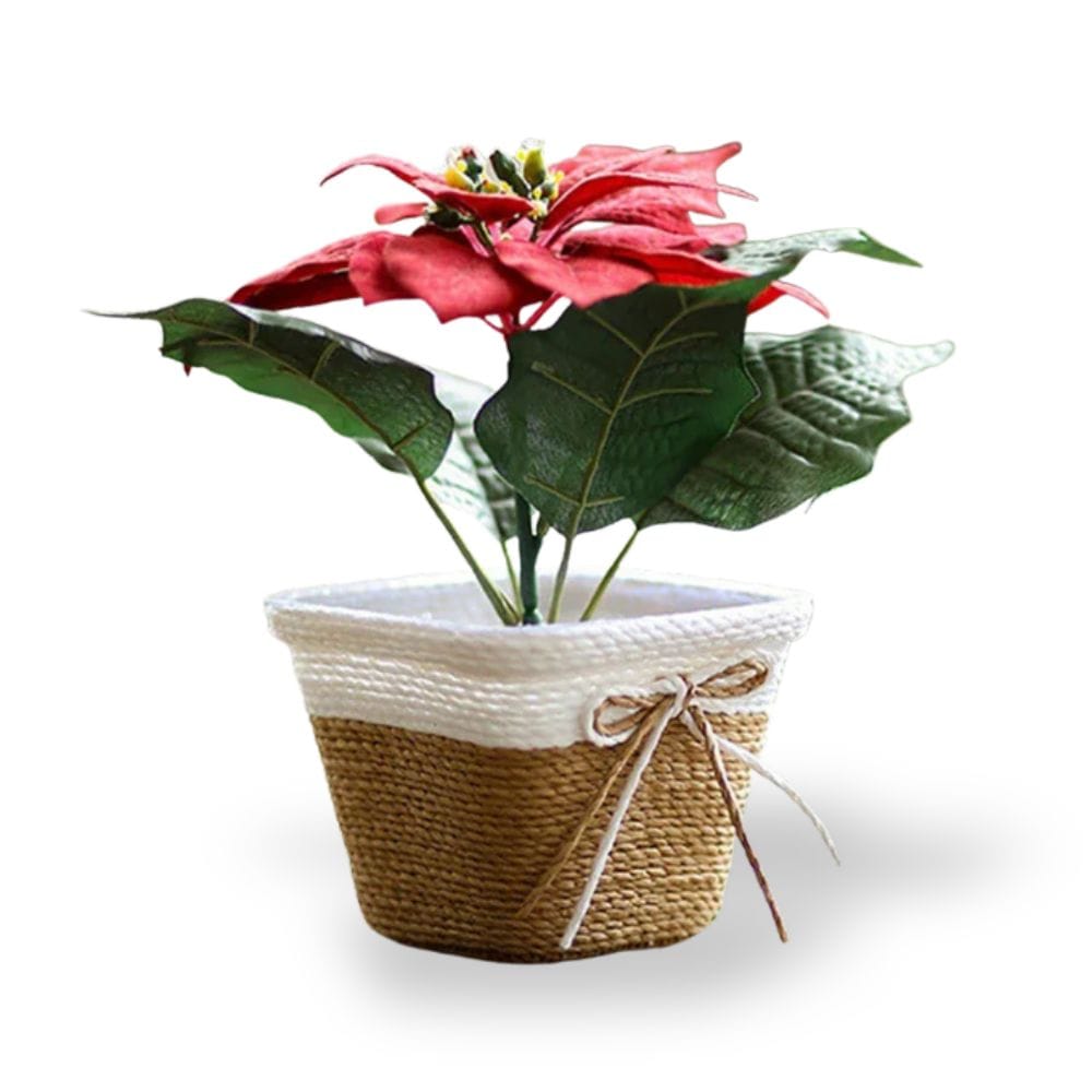 Ma boutique cache-pot carré osier