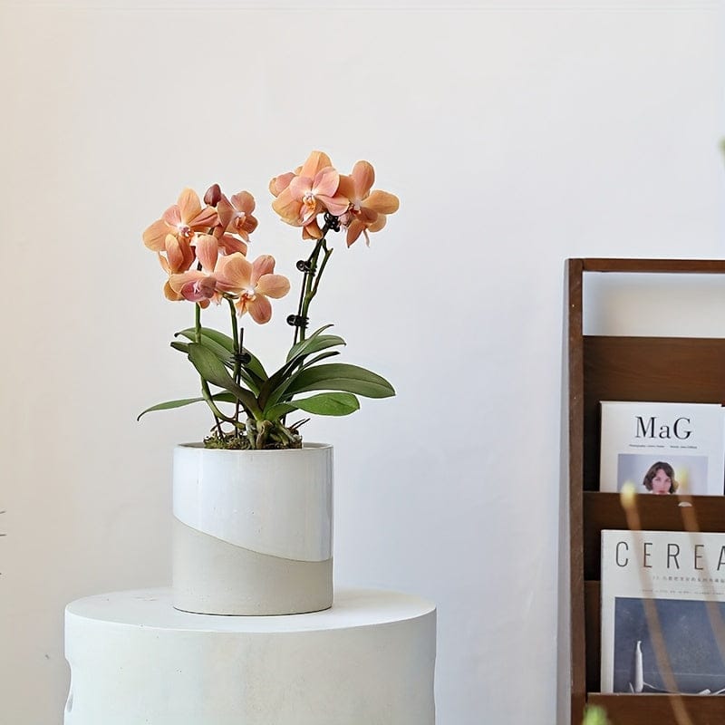 Ma boutique Blanc Cache pot céramique art deco