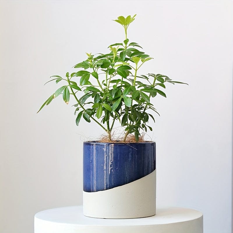 Ma boutique Bleu Cache pot céramique art deco