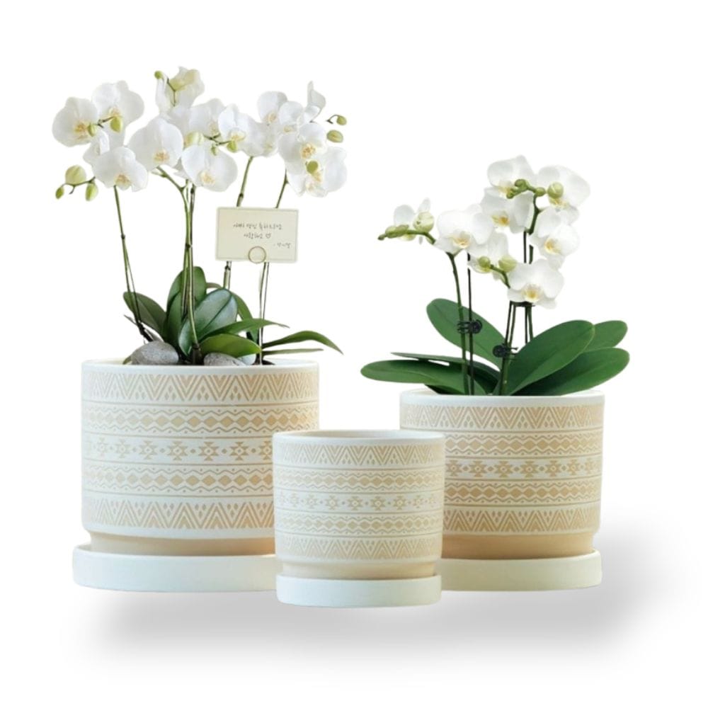 Ma boutique Les Trois cache pot ceramique beige