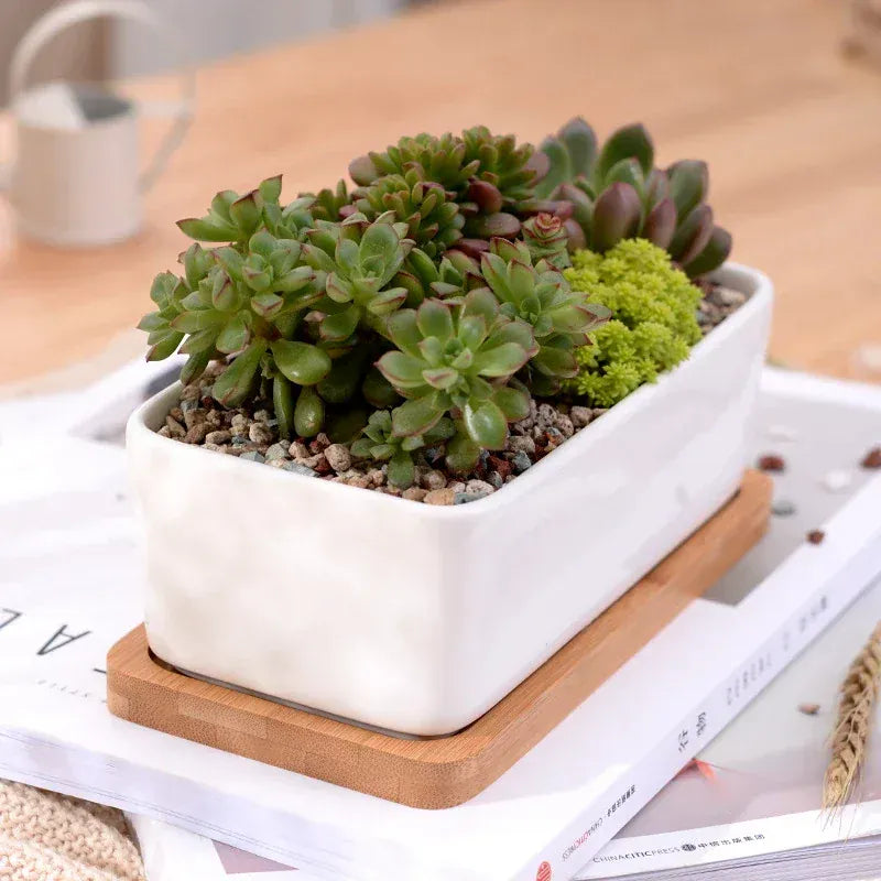 Ma boutique Cache pot céramique rectangle