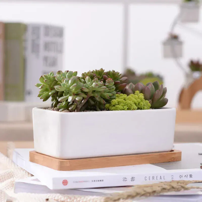 Ma boutique Cache pot céramique rectangle