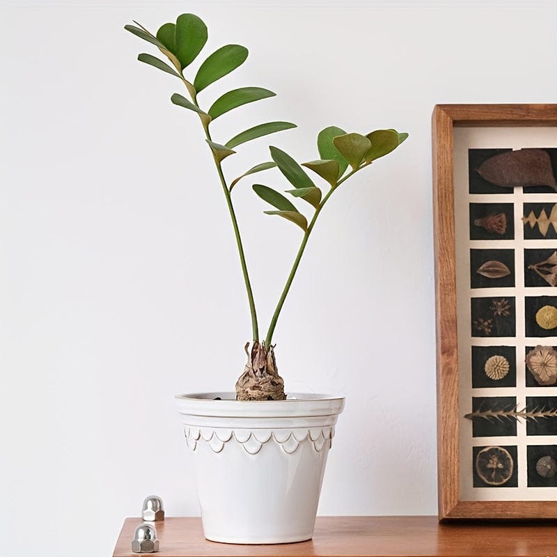 Ma boutique Blanc cache pot ceramique vintage