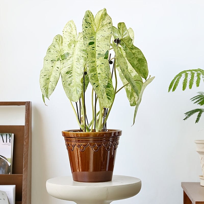Ma boutique Brun cache pot ceramique vintage