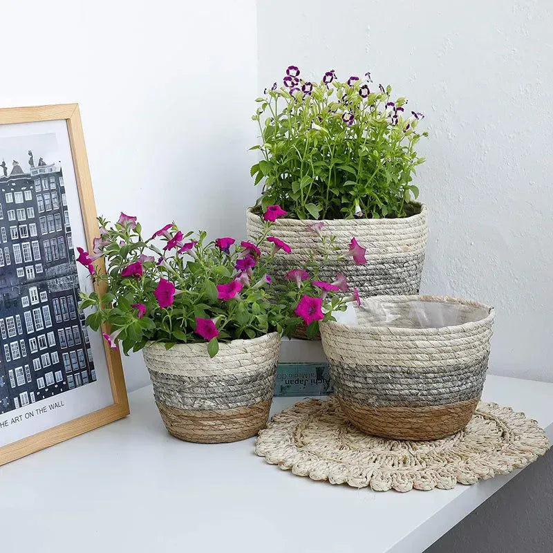 Ma boutique cache pot de fleur en osier