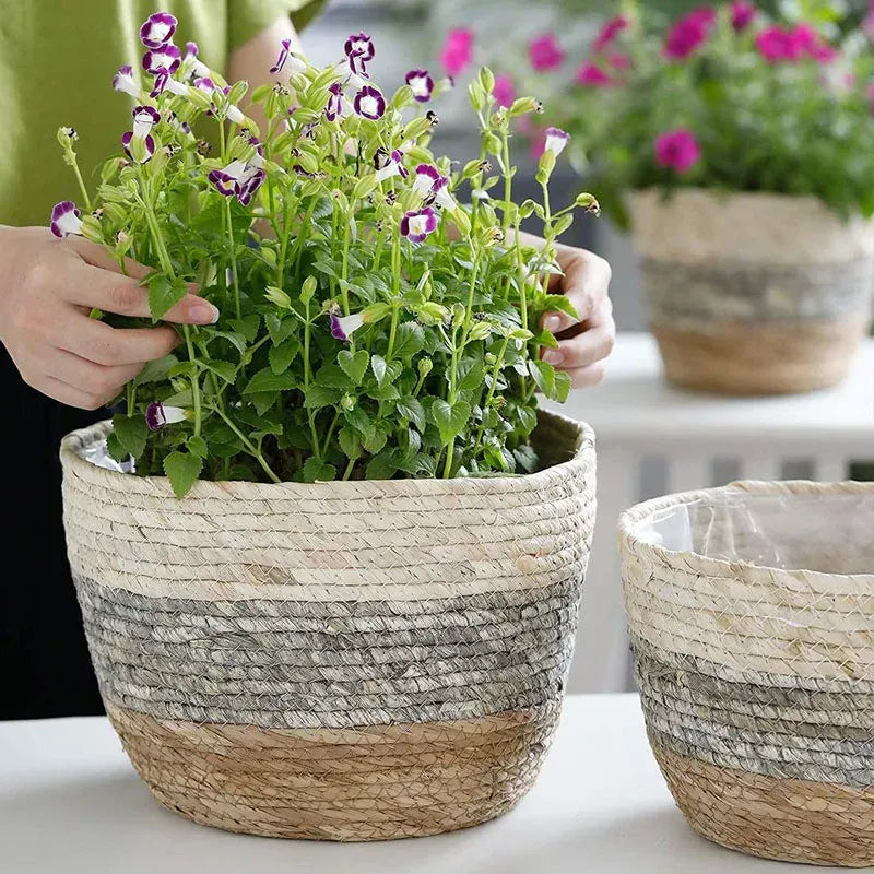 Ma boutique cache pot de fleur en osier