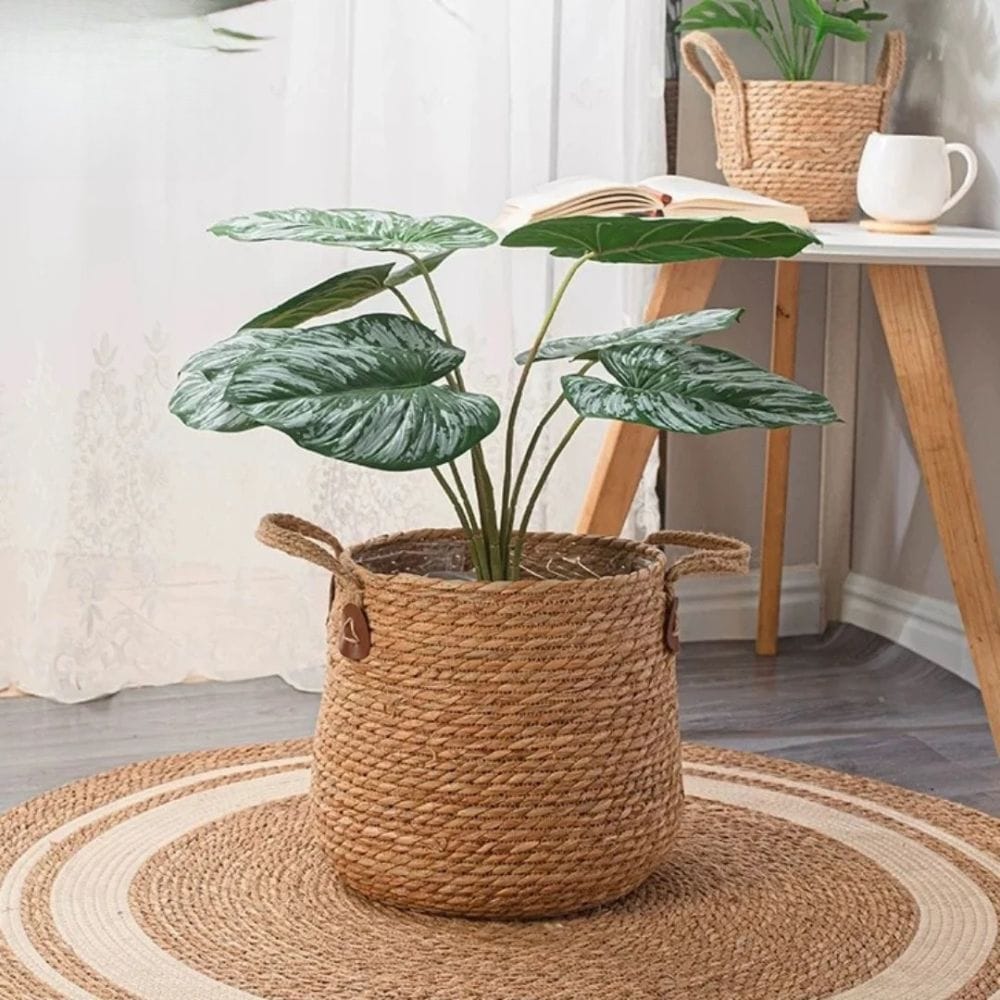 Ma boutique cache pot en osier avec anses