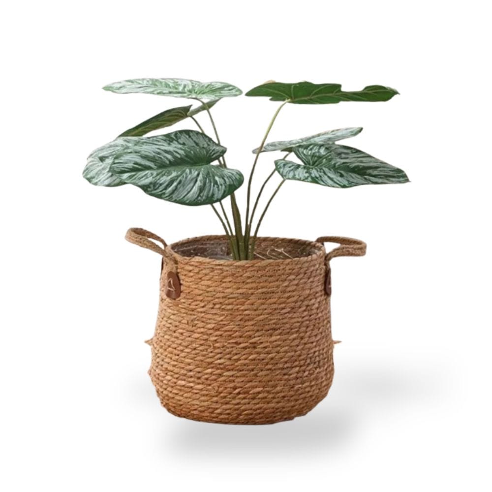 Ma boutique cache pot en osier avec anses