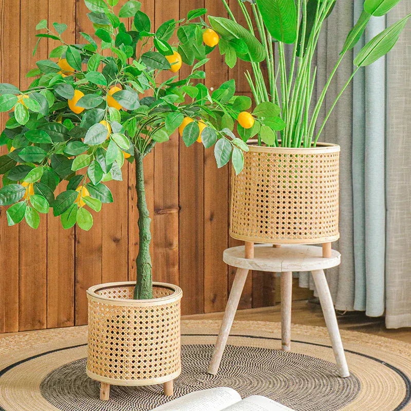 Ma boutique cache pot en osier et bois avec pied
