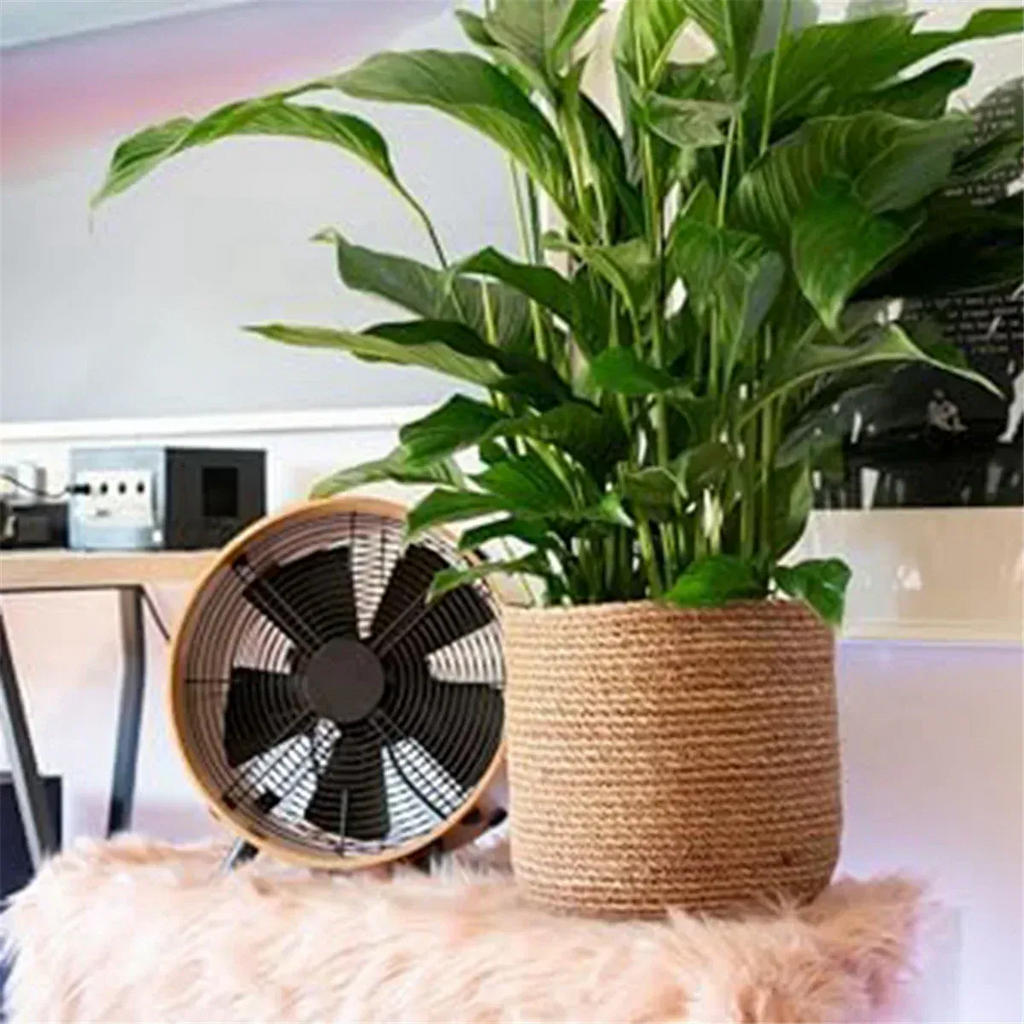 Ma boutique Cache pot en osier interieur