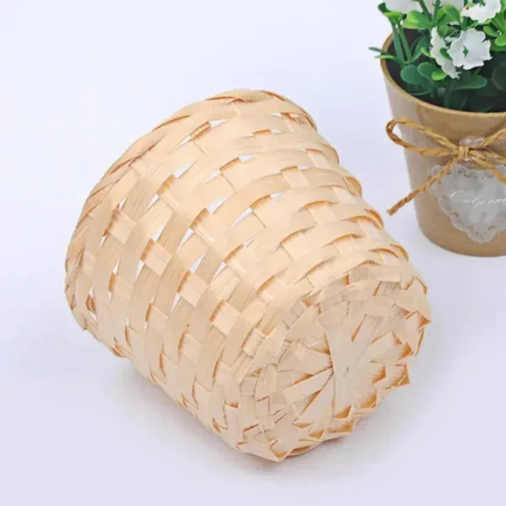 Ma boutique Cache pot en osier petites plantes grasses