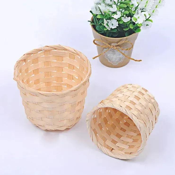 Ma boutique Cache pot en osier petites plantes grasses