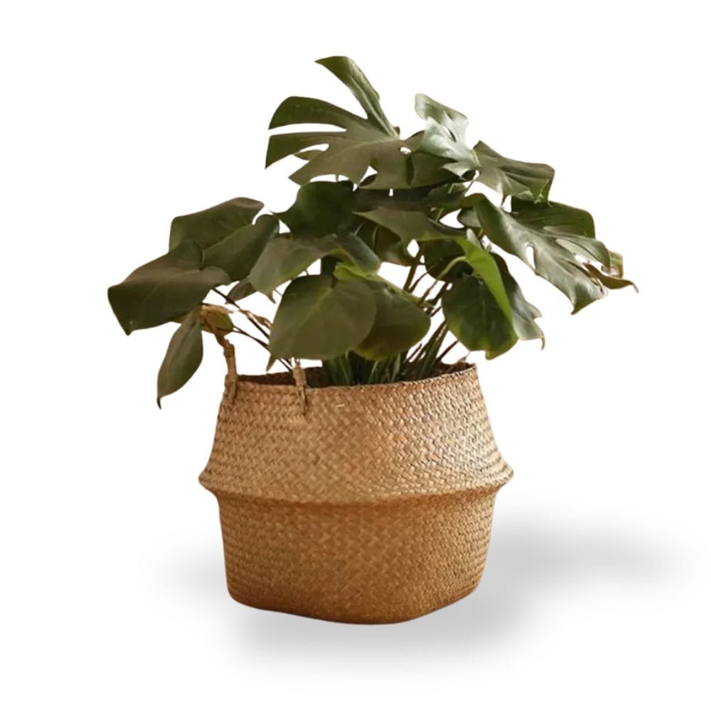 Ma boutique Cache pot en osier tunisie