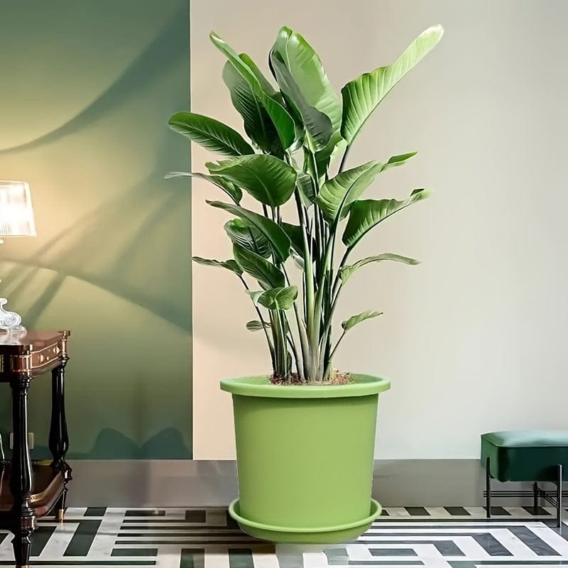 Ma boutique 2 pots + 2 socles Cache-pot en plastique vert