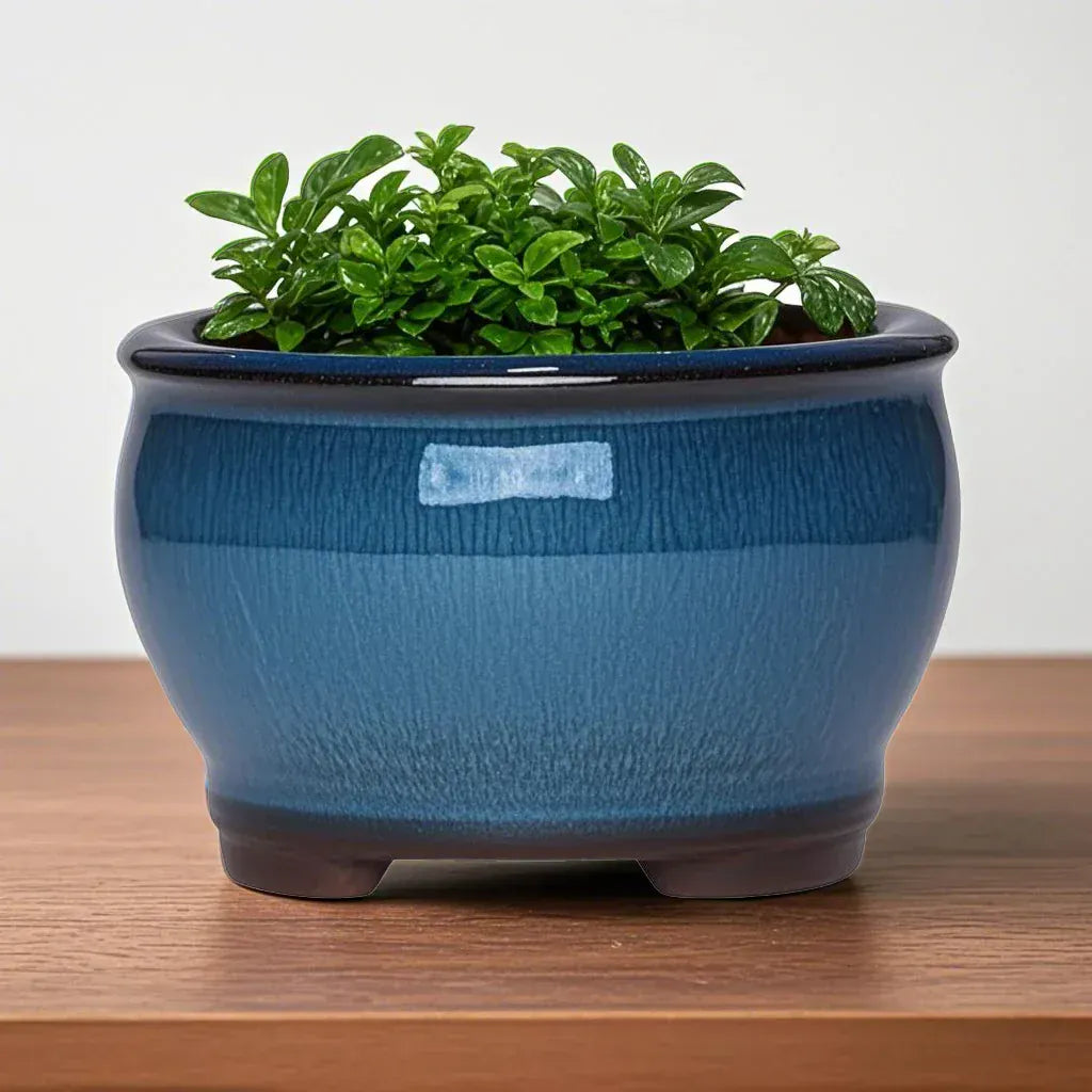 Ma boutique cache pot en terre cuite émaillée