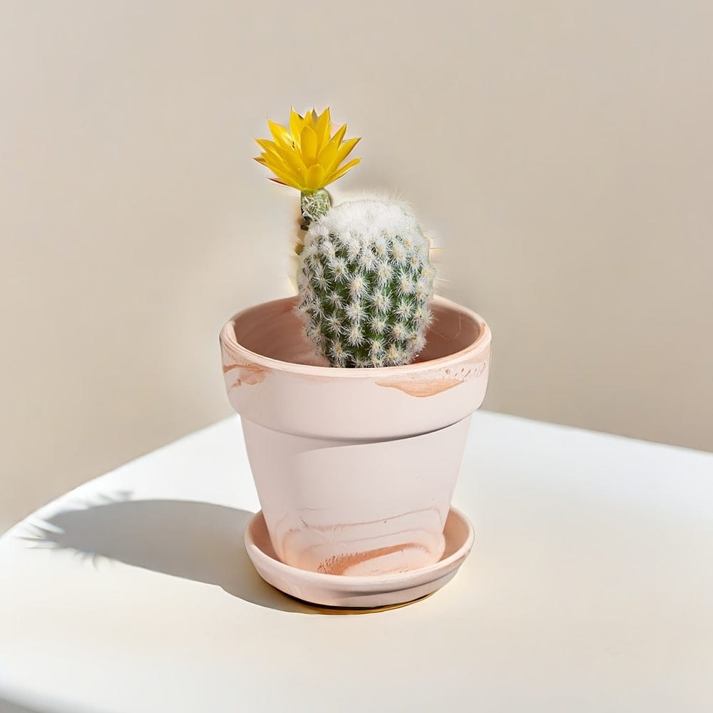 Ma boutique Cache pot en terre cuite peinte