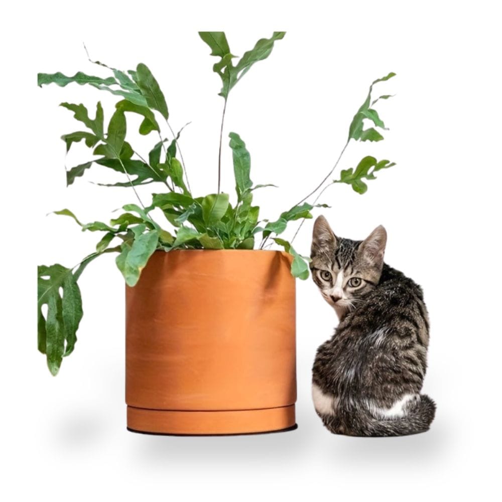 Ma boutique cache pot en terre cuite rond