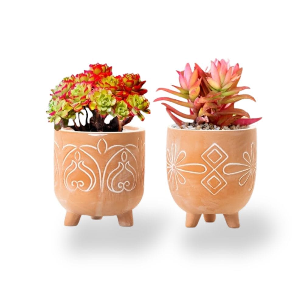Ma boutique cache-pot fantaisie terre cuite