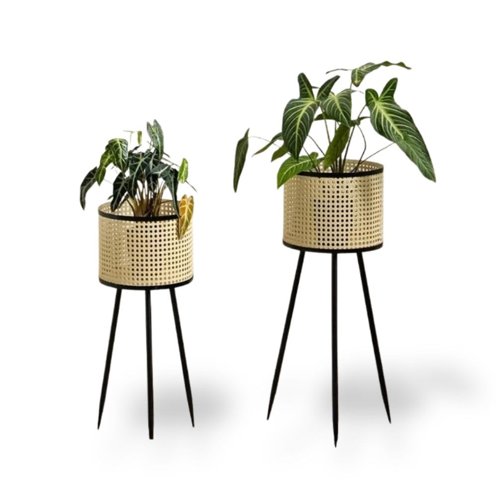 Ma boutique cache-pot intérieur sur pied