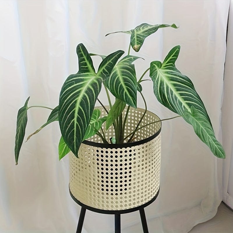 Ma boutique cache-pot intérieur sur pied
