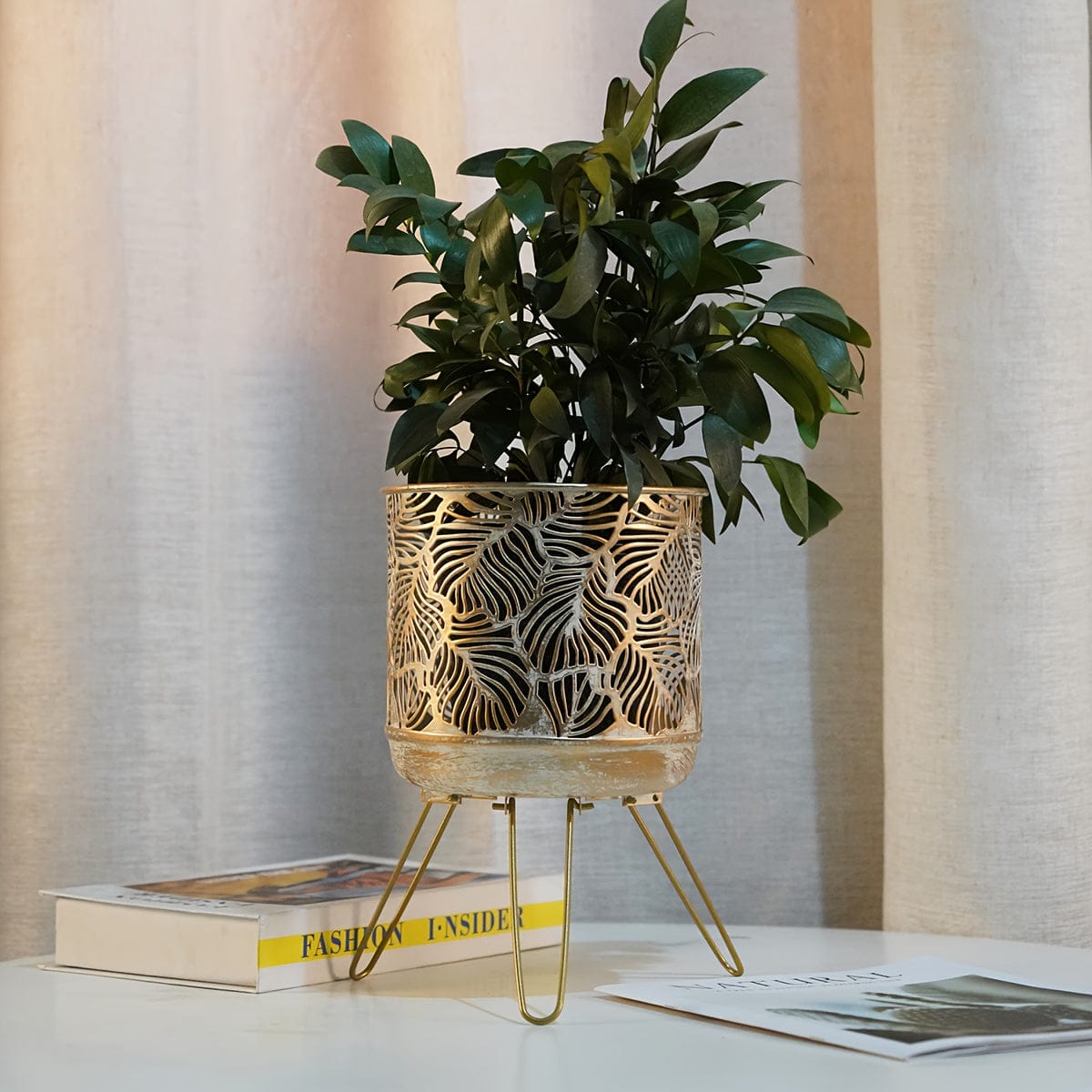 Ma boutique cache-pot metal sur pied