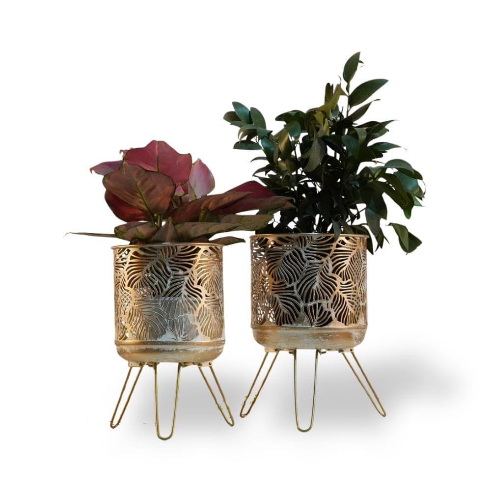 Ma boutique cache-pot metal sur pied