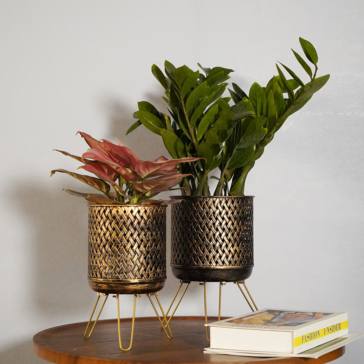 Ma boutique Les 2 / 1 cache-pot metal sur pied
