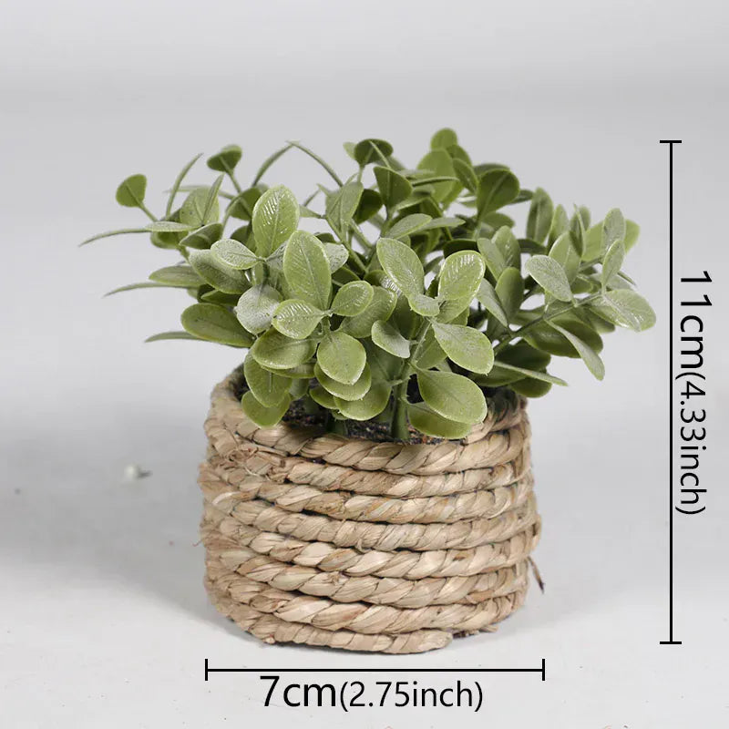 Ma boutique 1 cache pot mini osier