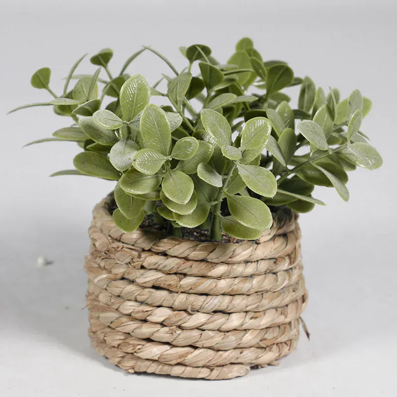 Ma boutique cache pot mini osier
