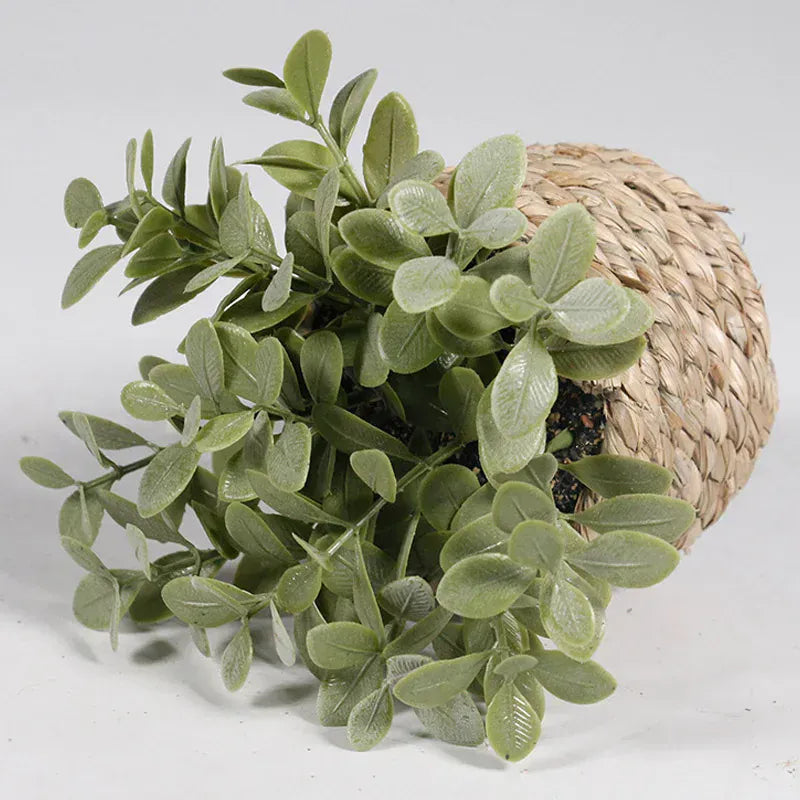Ma boutique cache pot mini osier