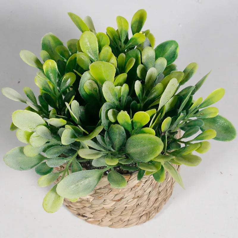 Ma boutique cache pot mini osier