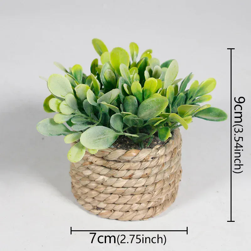 Ma boutique 2 cache pot mini osier