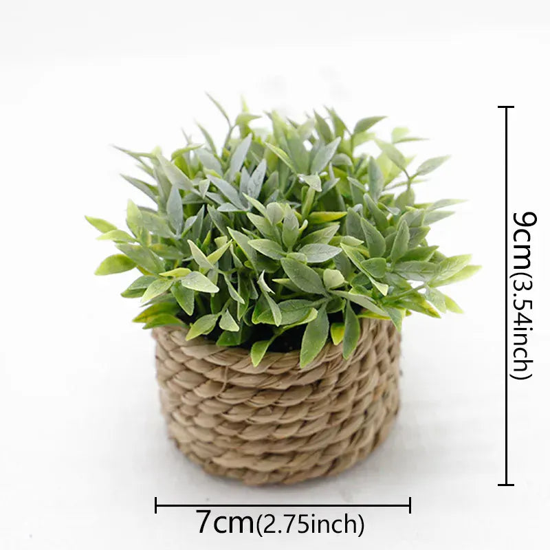 Ma boutique 3 cache pot mini osier
