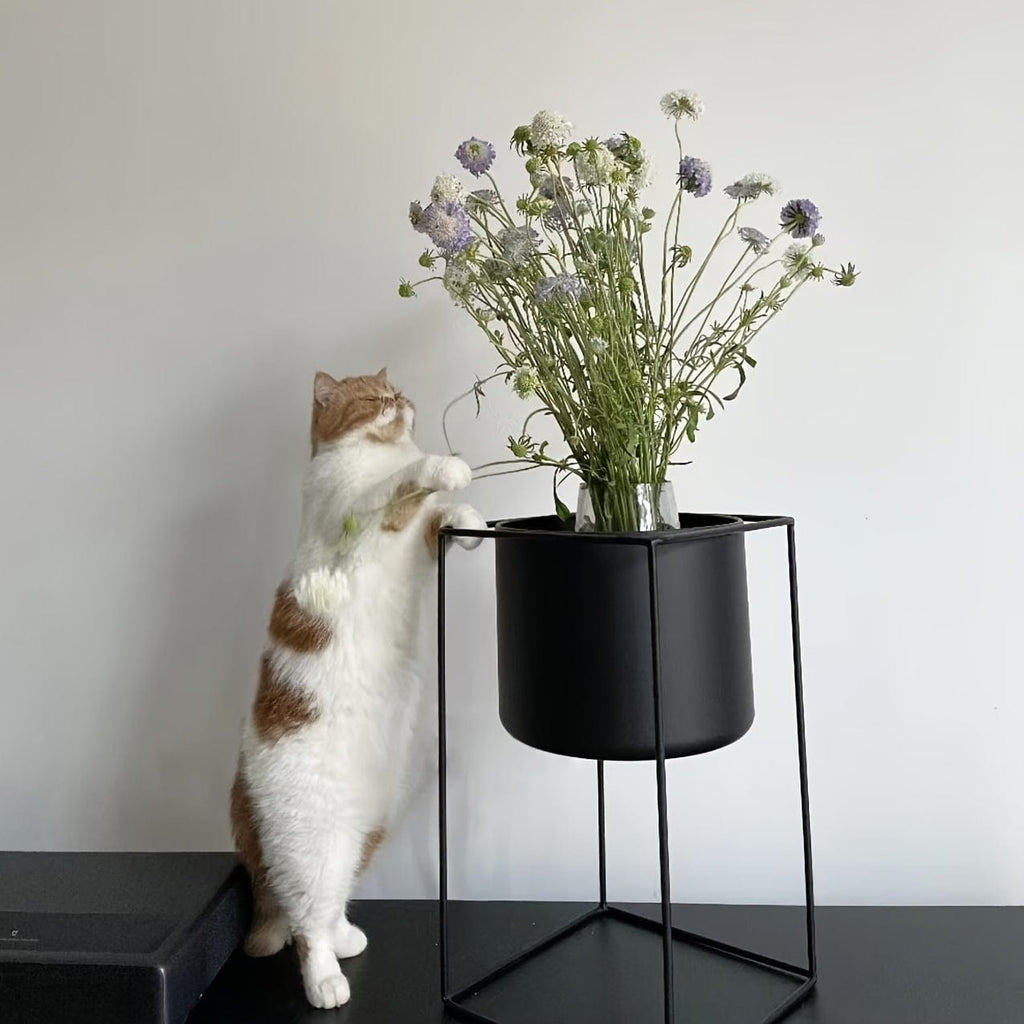 Ma boutique cache-pot sur pied noir