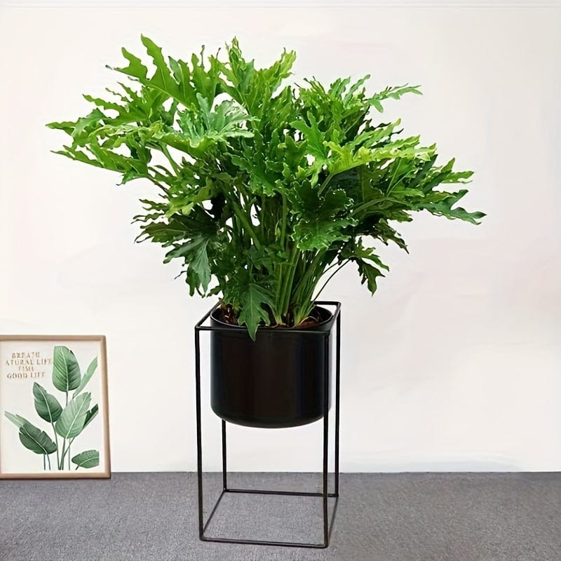 Ma boutique cache-pot sur pied noir