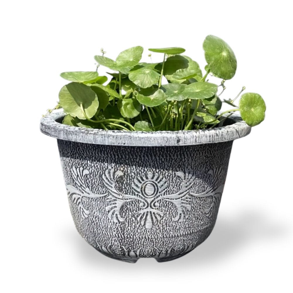 Ma boutique 18.02L cache-pot terre cuite gris