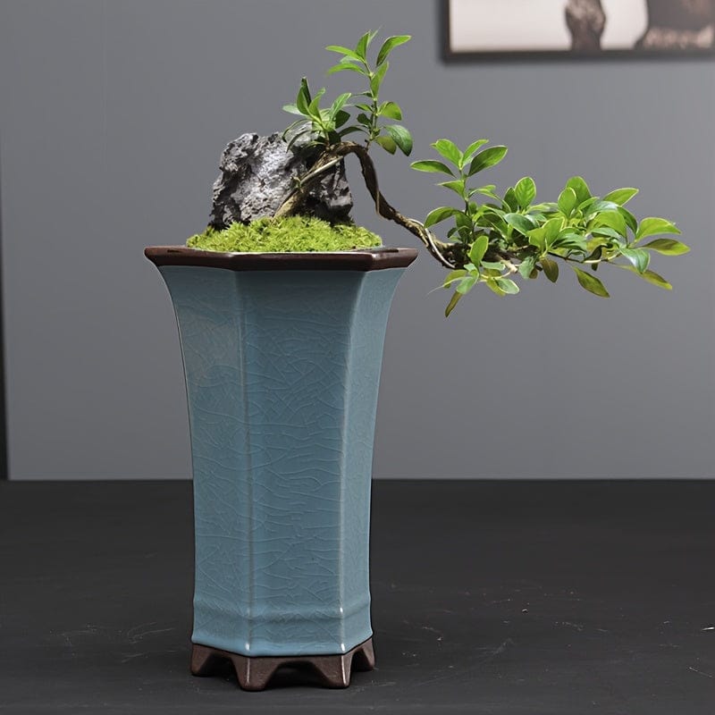 Ma boutique grand cache-pot bonsai céramique
