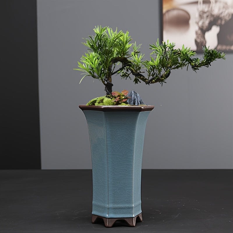 Ma boutique grand cache-pot bonsai céramique