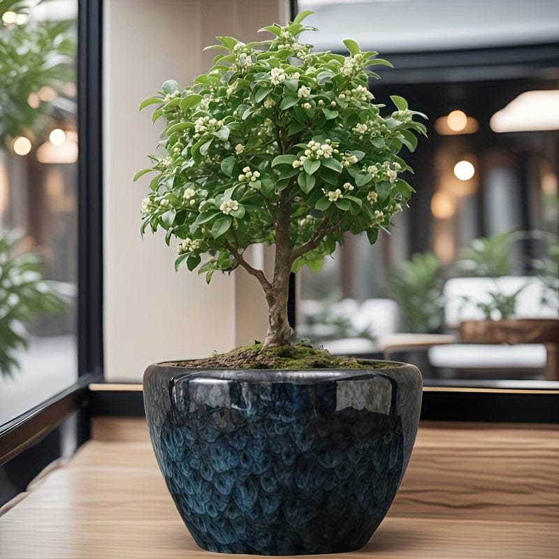 Ma boutique grand cache pot ceramique