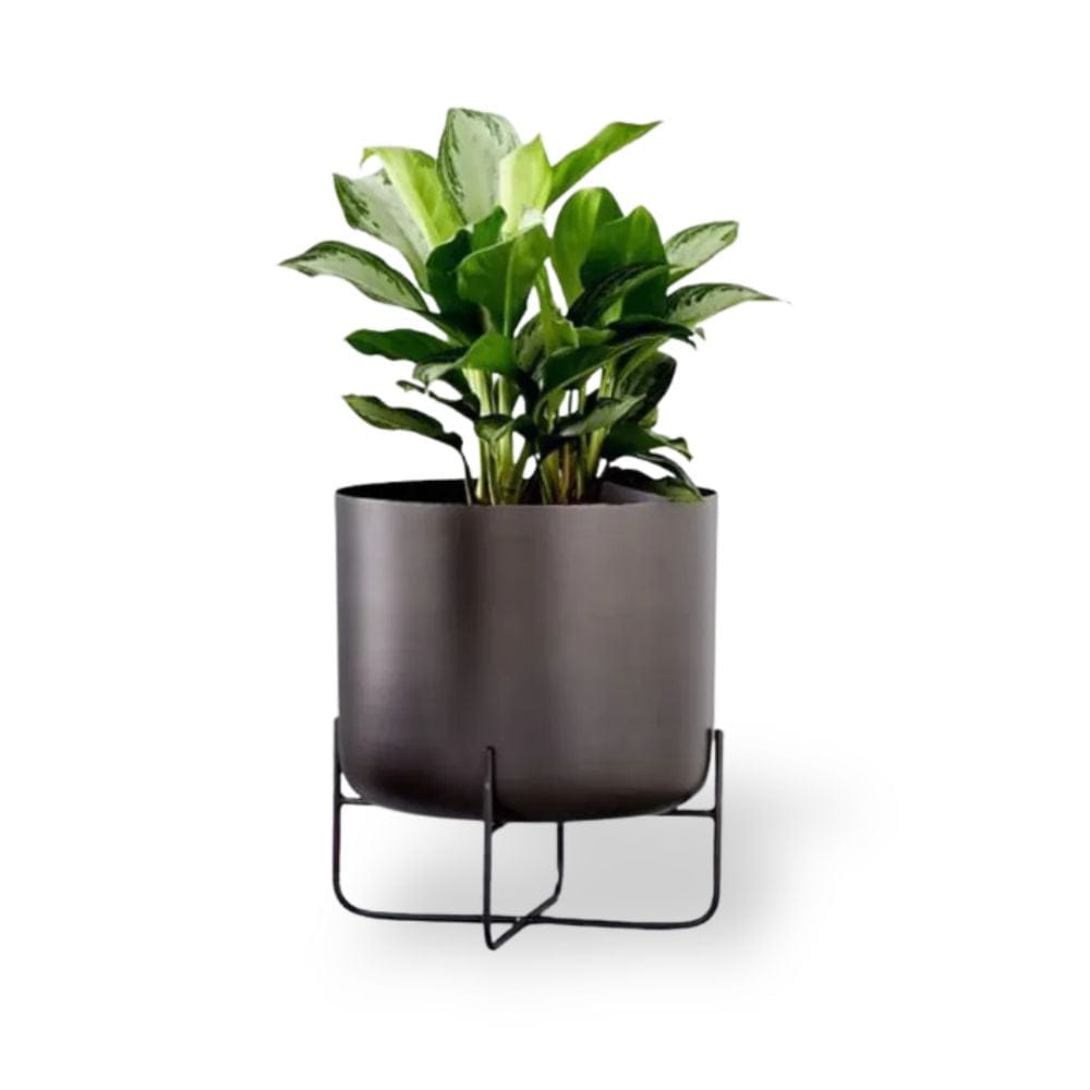 Ma boutique grand cache-pot sur pied