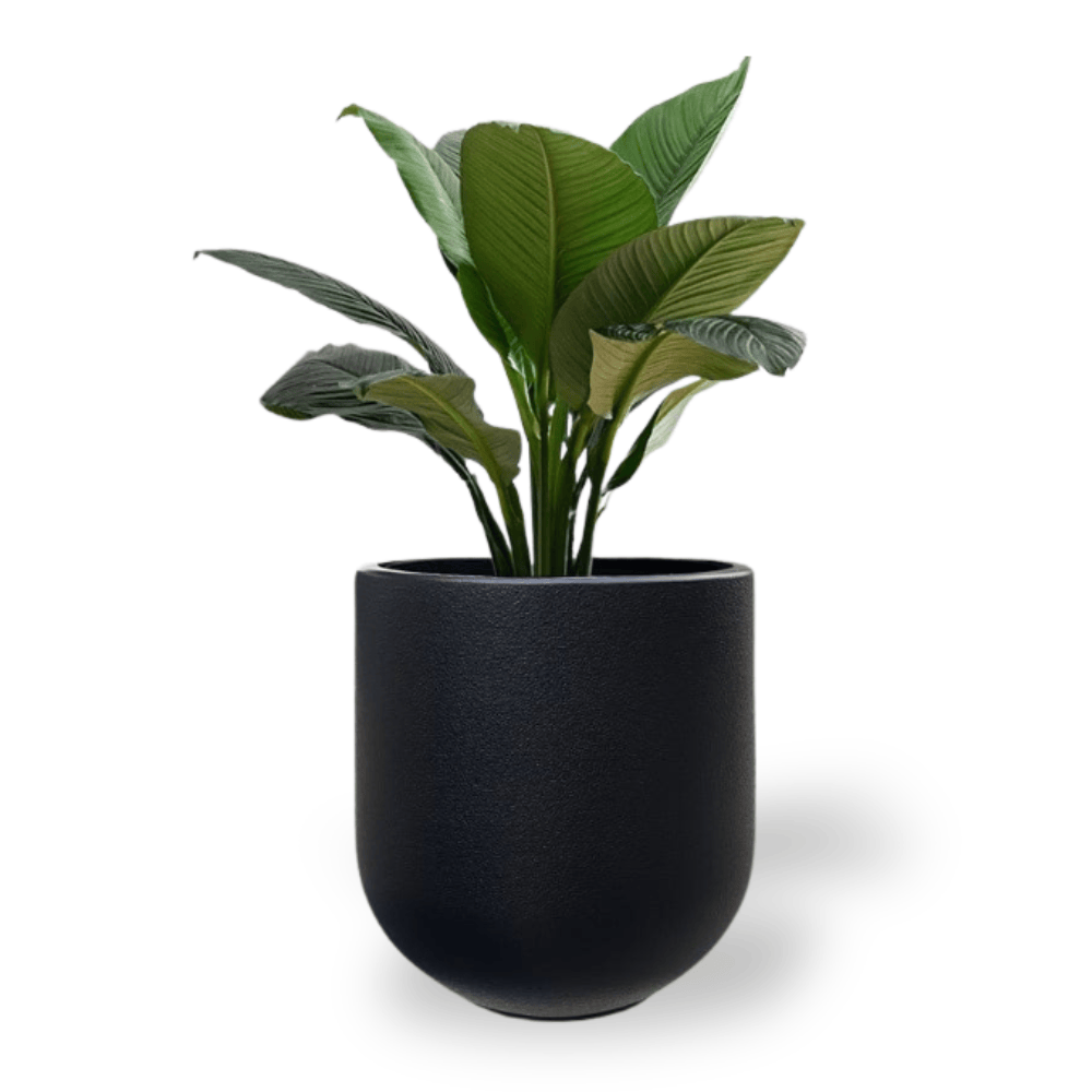 Ma boutique Grand pot en plastique pour plante