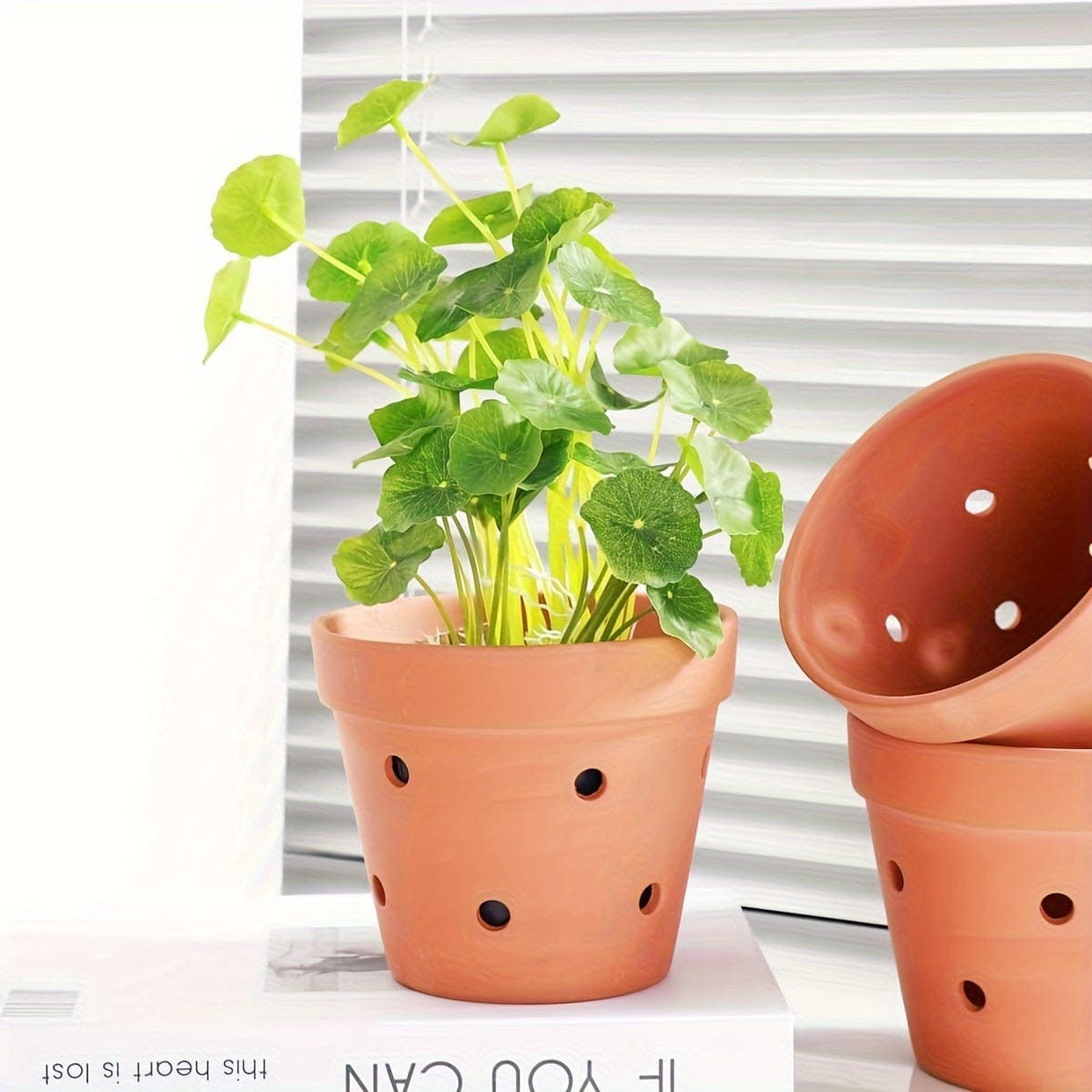 Ma boutique D12 | H10cm / 8 petit pot de fleur terre cuite