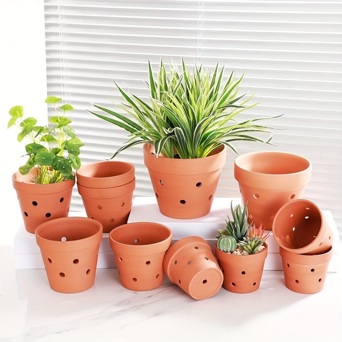 Ma boutique D12 | H10cm / 8 petit pot de fleur terre cuite